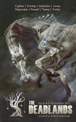 Issue 31 - The Deadlands