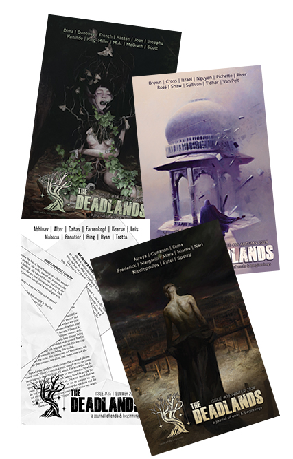 Ferryman's Coin 2025 + The Deadlands 2024 Print - Image 3