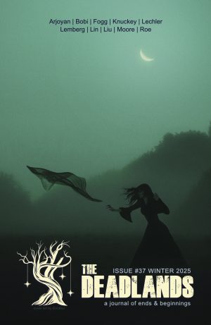 Issue 37 - The Deadlands