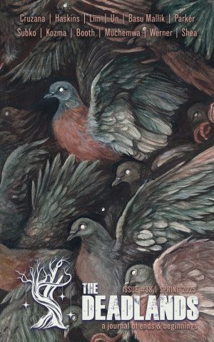 Issue 38 - The Deadlands