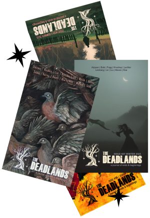 2026 Coin + 2025 Issues of The Deadlands (digital)
